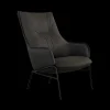 Aloe Lounge Chair