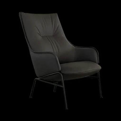 Aloe Lounge Chair