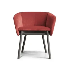 Balu Chair - Wood
