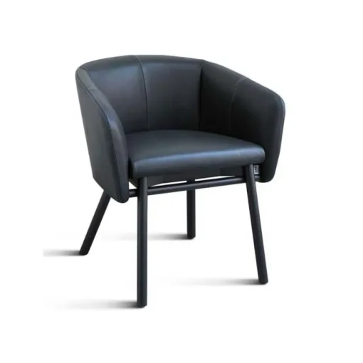 Balu Chair - Wood