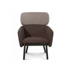 Balu Lounge Chair - Wood