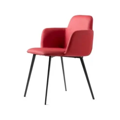 Bardot Chair with Arms