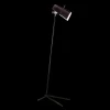 Claritas Floor Lamp