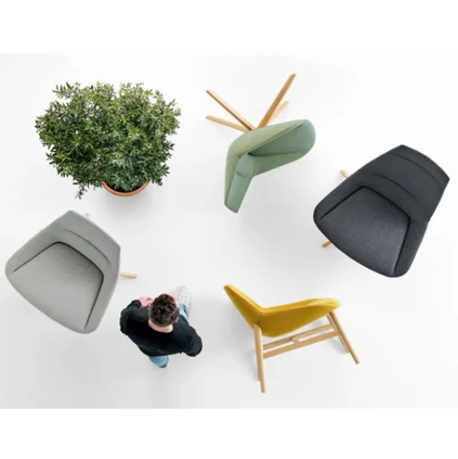 Dunas XL Wood Lounge Chair