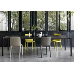 Joko Chair