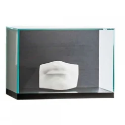 Nest Wall Shelf