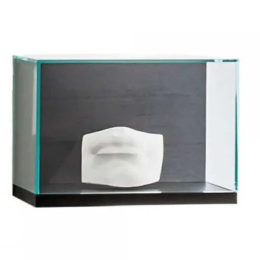 Nest Wall Shelf