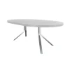 Oops Extendable Table