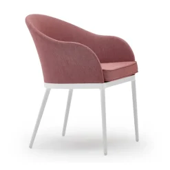 Saia Chair with Arms - Upholstered - Padded