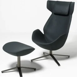 Shelter Lounge Chair