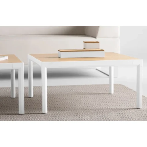 Sui Coffee Table